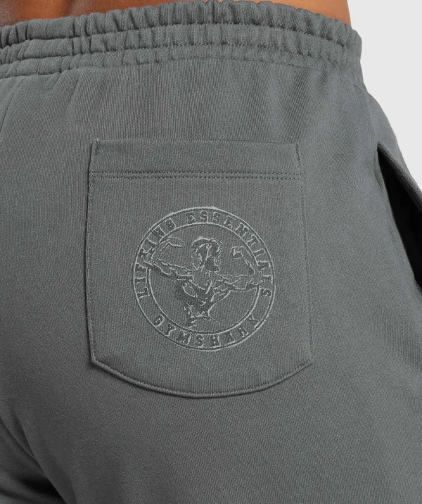 Back Gains Graphic Joggers