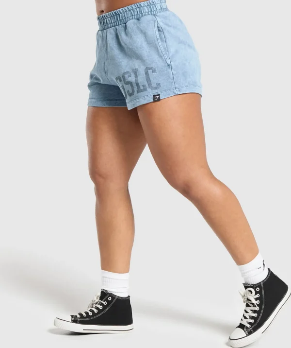 Collegiate Shadow Washed Shorts