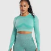 Flex Long Sleeve Crop Top