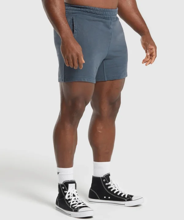 Power Washed 5" Shorts